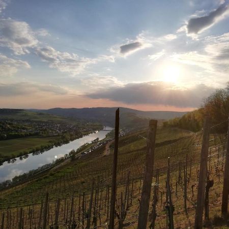 Ferienwohnung Panoramablick Лизер Екстериор снимка